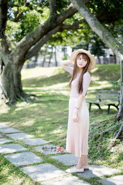 非公認戰隊秋葉原連者