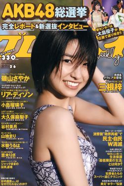 短柄斧4