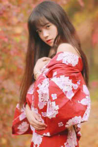 江湖儿女电视剧全集