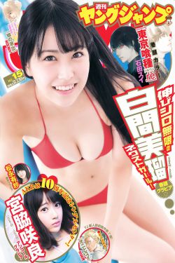 料理情人梦全集