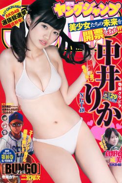 猎罪图鉴电视剧免费看