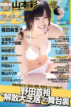 爱情而已电视剧免费观看全集在线播放