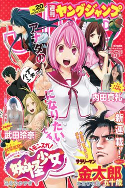 正阳门下小女人电视剧全集免费观看