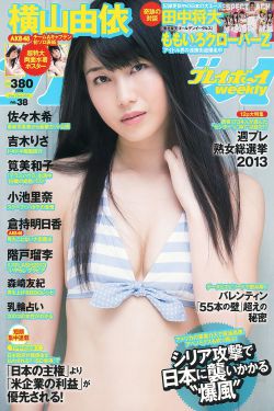 隋唐演义 电视剧